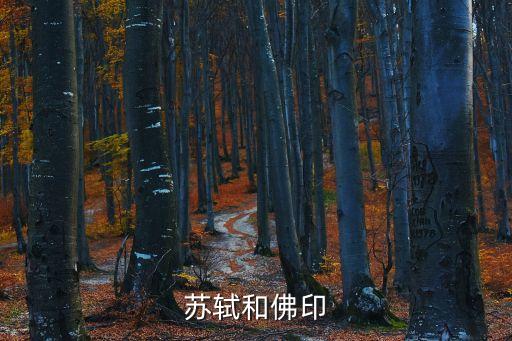 蘇軾和佛印，蘇軾和佛印的故事