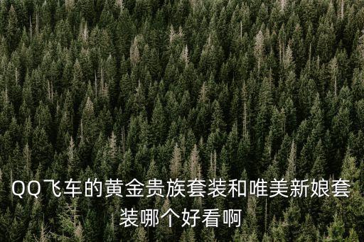QQ飛車的黃金貴族套裝和唯美新娘套裝哪個好看啊