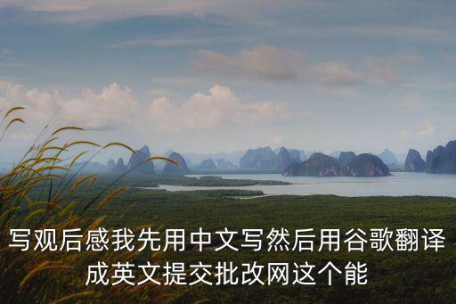 寫觀后感我先用中文寫然后用谷歌翻譯成英文提交批改網這個能