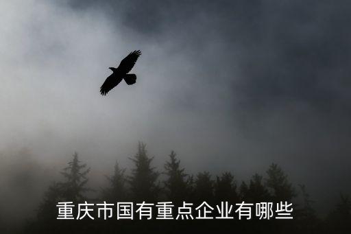 重慶市國有重點企業有哪些