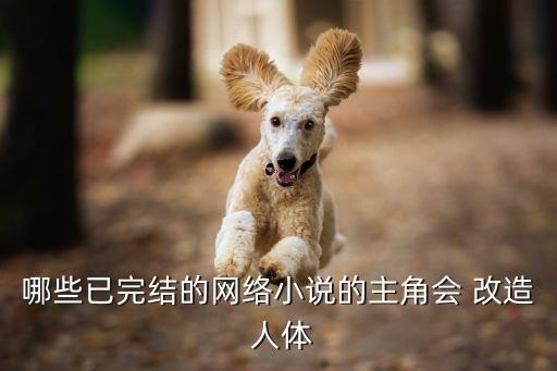 哪些已完結的網絡小說的主角會 改造 人體