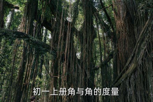 初一上冊(cè)角與角的度量