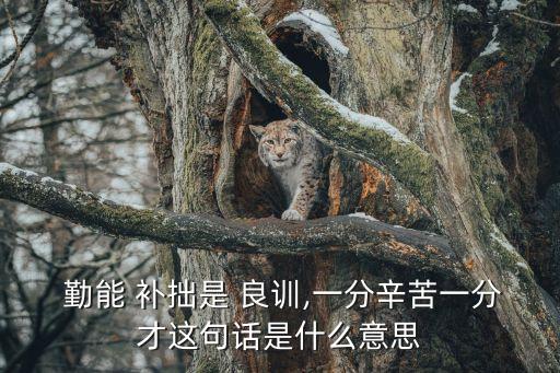 勤能補(bǔ)拙是良訓(xùn),勤能補(bǔ)拙是良訓(xùn)
