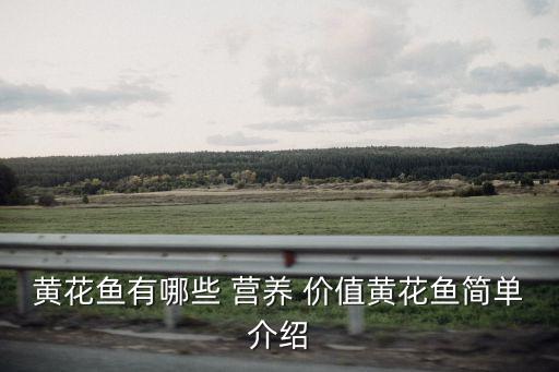 黃花魚有哪些 營養 價值黃花魚簡單介紹
