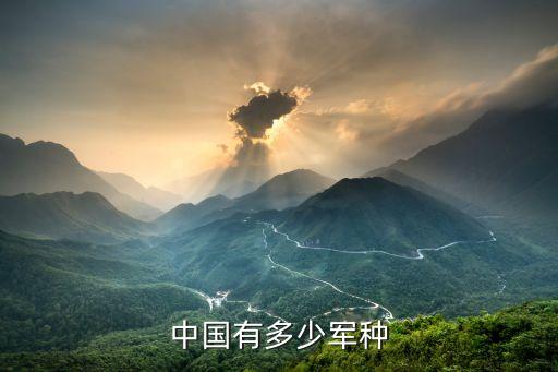 中國有多少軍種