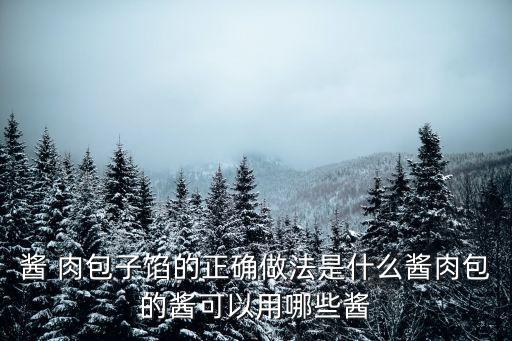 醬肉包子餡配方,秘制醬肉包子黃醬必不可少