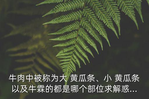 小黃瓜條,牛肉黃瓜條肉營養豐富可當生牛肉吃