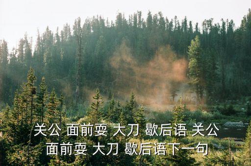  關公 面前耍 大刀 歇后語 關公 面前耍 大刀 歇后語下一句