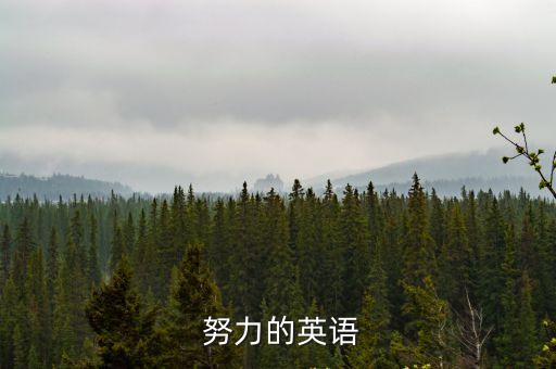 努力的的英文,第二集:努力與成就（一）