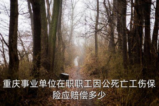 重慶事業單位在職職工因公死亡工傷保險應賠償多少