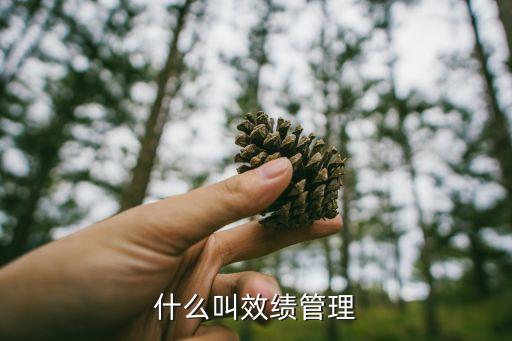 什么叫效績(jī)管理