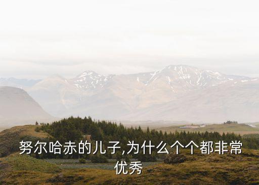  努爾哈赤的兒子,為什么個個都非常優秀