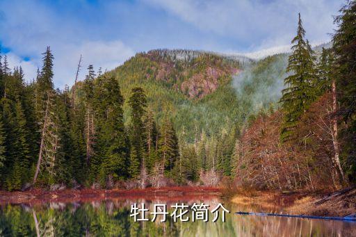 牡丹花圖,菏澤牡丹之鄉(xiāng)洛陽(yáng)民眾種牡丹養(yǎng)眼