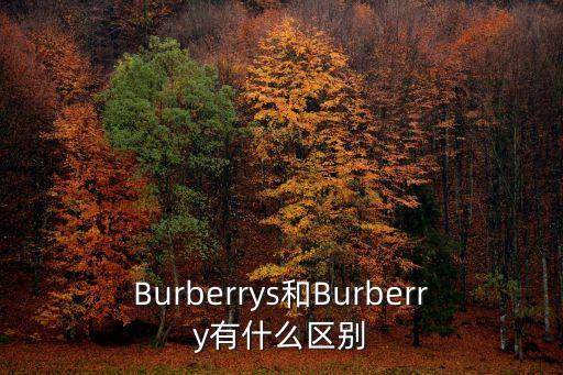 巴寶莉標志，巴寶莉商標印在哪啊