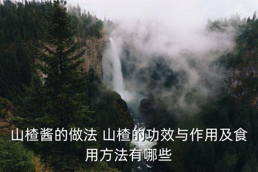 山楂醬的做法 山楂的功效與作用及食用方法有哪些