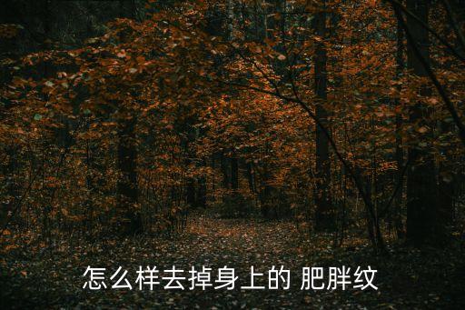 怎么樣去掉身上的 肥胖紋