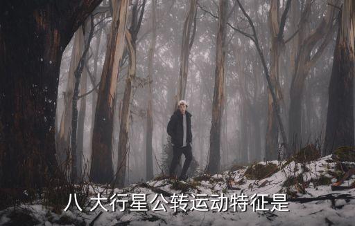 八 大行星公轉運動特征是