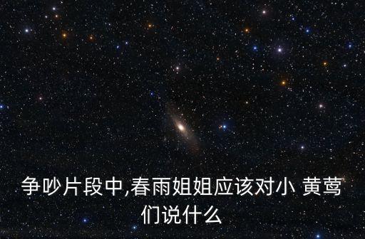 爭吵片段中,春雨姐姐應該對小 黃鶯們說什么