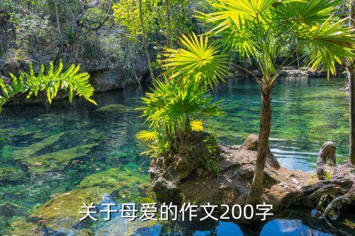 關于母愛的作文200字