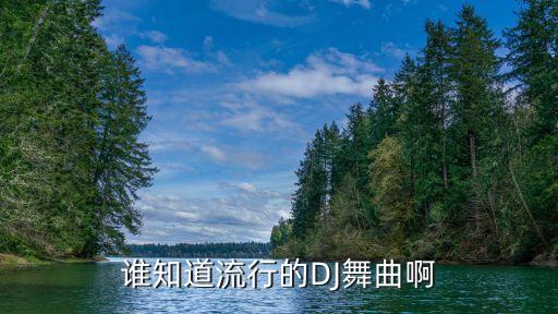 誰知道流行的DJ舞曲啊