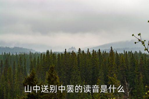 罷怎么讀，罷這個字拼音是