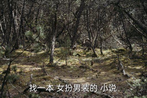 女扮男裝小說,女扮男裝的現(xiàn)代愛情小說如下