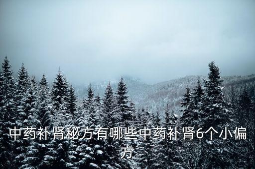 中藥補腎秘方有哪些中藥補腎6個小偏方