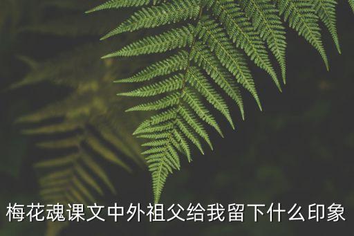 梅花魂課文中外祖父給我留下什么印象