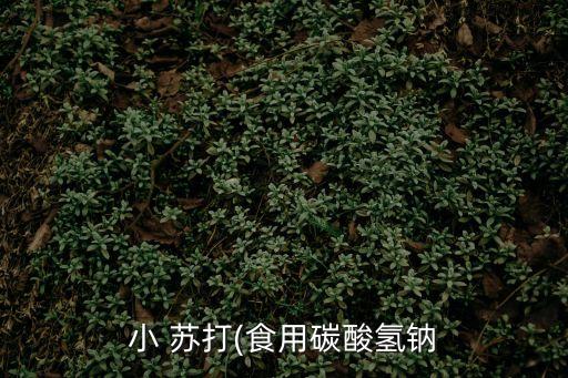 食用小蘇打的作用與用途,食用小蘇打還有哪些妙用?