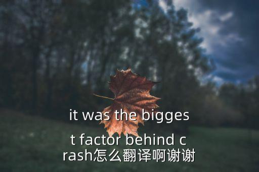 it was the biggest factor behind crash怎么翻譯啊謝謝