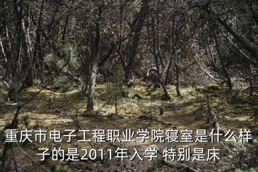 重慶市電子工程職業學院寢室是什么樣子的是2011年入學 特別是床