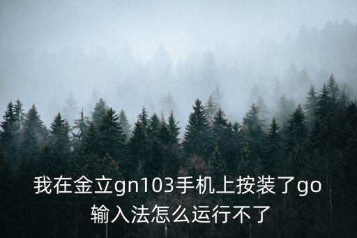 我在金立gn103手機上按裝了go 輸入法怎么運行不了