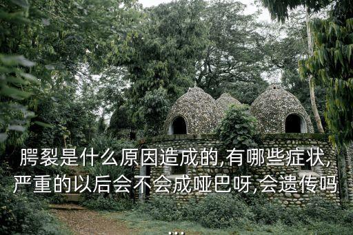 腭裂是什么原因造成的,有哪些癥狀,嚴重的以后會不會成啞巴呀,會遺傳嗎...