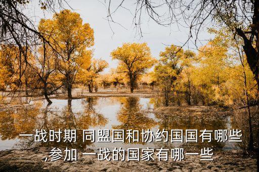  一戰(zhàn)時期 同盟國和協(xié)約國國有哪些,參加 一戰(zhàn)的國家有哪一些