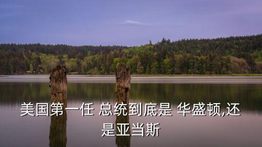華盛頓總統(tǒng),喬治華盛頓和林肯并列美國(guó)史上最偉大人物