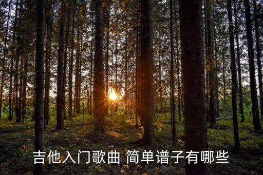 吉他入門歌曲 簡單譜子有哪些
