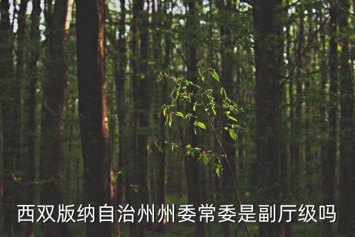 西雙版納自治州州委常委是副廳級嗎