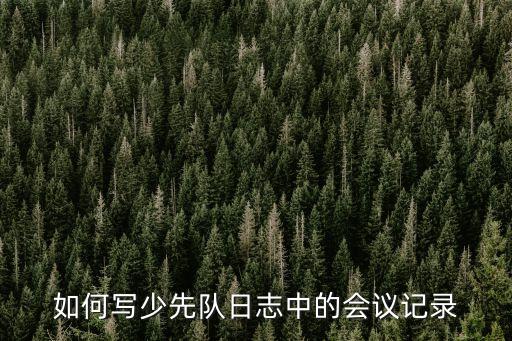 如何寫少先隊日志中的會議記錄