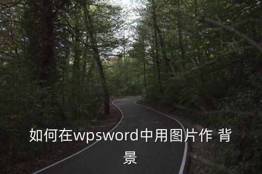 如何在wpsword中用圖片作 背景