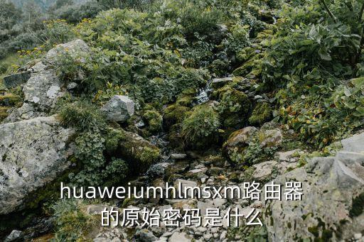 huaweiumhlmsxm路由器的原始密碼是什么