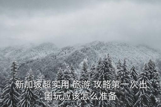  新加坡超實用 旅游 攻略第一次出國玩應該怎么準備