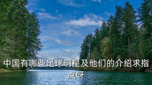 中國足球明星，中國有哪些足球明星及他們的介紹求指點呀