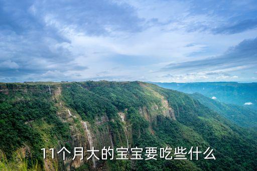 11個月大的寶寶要吃些什么