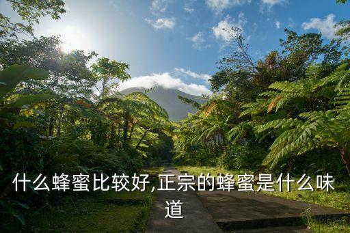什么蜂蜜比較好,正宗的蜂蜜是什么味道