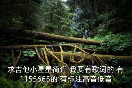 求吉他小星星簡譜 我要有歌詞的 有1155665的 有標注高音低音