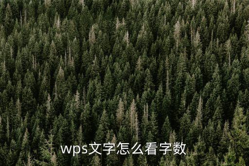 wps怎么查字?jǐn)?shù)，wps文字怎么看字?jǐn)?shù)