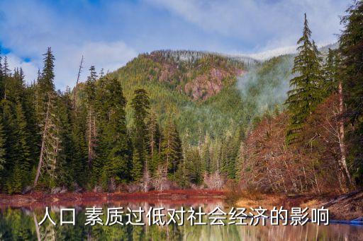 人口 素質(zhì)過(guò)低對(duì)社會(huì)經(jīng)濟(jì)的影響