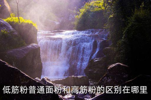 低筋粉普通面粉和高筋粉的區別在哪里