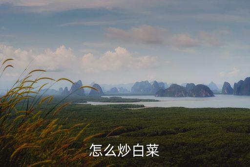 素炒白菜，素炒大白菜怎么做
