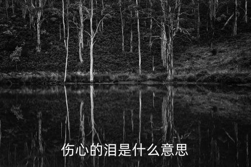 傷心的淚是什么意思